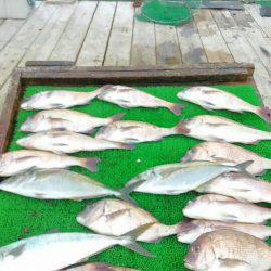 海の釣堀 海恵 釣果