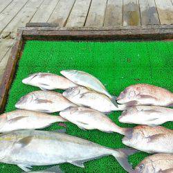 海の釣堀 海恵 釣果