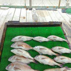 海の釣堀 海恵 釣果