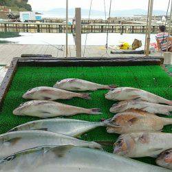 海の釣堀 海恵 釣果