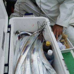 金沢八景鴨下丸 釣果