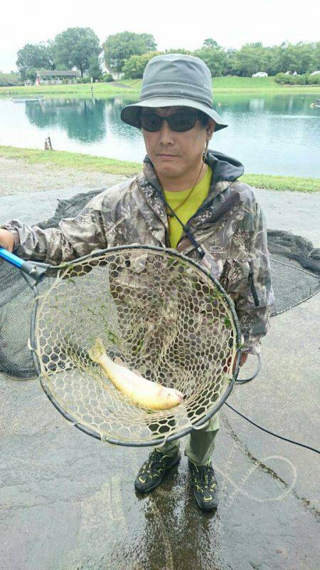 加賀フィッシングエリア 釣果