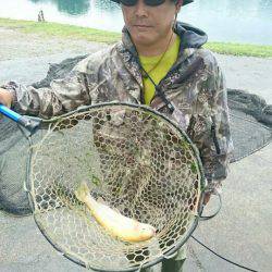 加賀フィッシングエリア 釣果