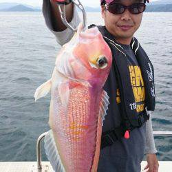 ARCADIAⅡ (アルカディアⅡ) 釣果