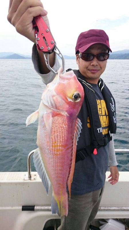 ARCADIAⅡ （アルカディアⅡ） 釣果…