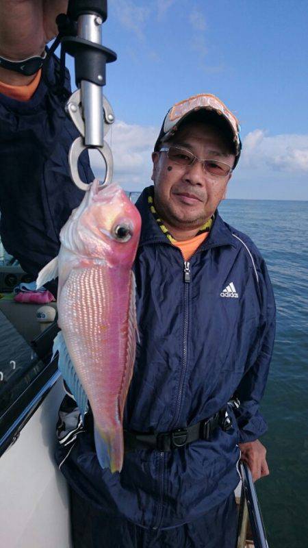 ARCADIAⅡ (アルカディアⅡ) 釣果