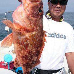 ARCADIAⅡ (アルカディアⅡ) 釣果