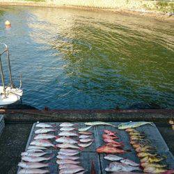 ARCADIAⅡ (アルカディアⅡ) 釣果