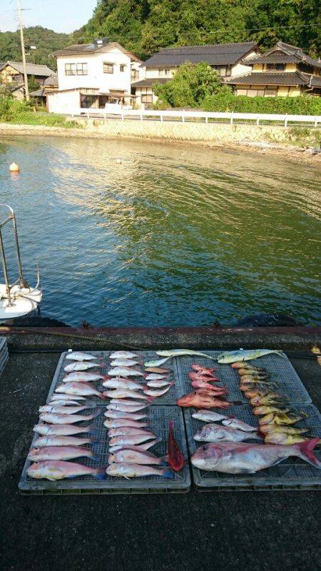 ARCADIAⅡ (アルカディアⅡ) 釣果