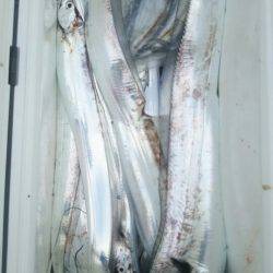 サンマリン 釣果