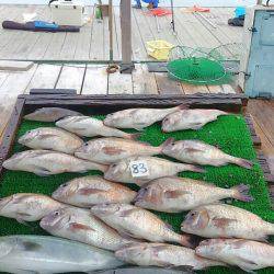 海の釣堀 海恵 釣果