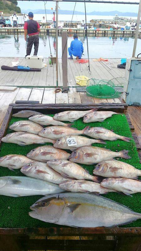 海の釣堀 海恵 釣果