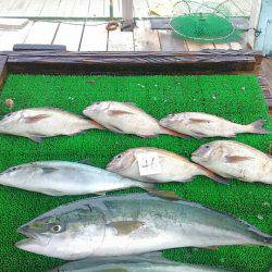 海の釣堀 海恵 釣果