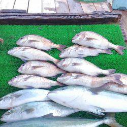 海の釣堀 海恵 釣果