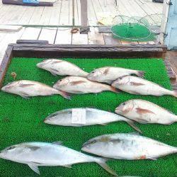 海の釣堀 海恵 釣果