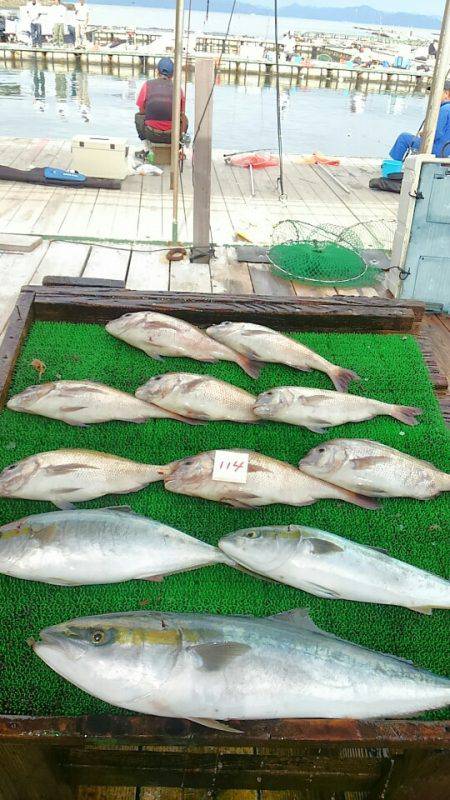 海の釣堀 海恵 釣果