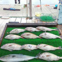 海の釣堀 海恵 釣果