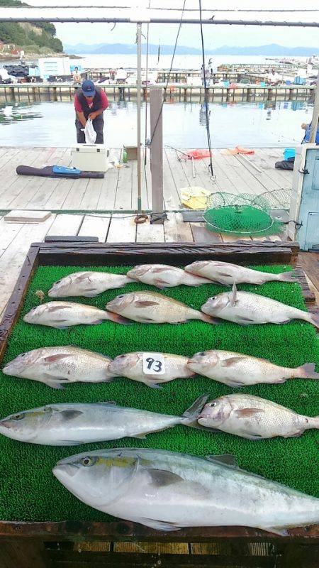 海の釣堀 海恵 釣果