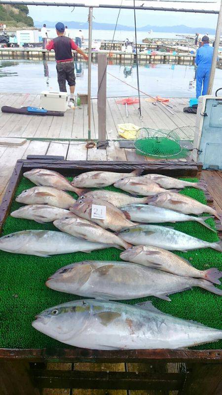 海の釣堀 海恵 釣果