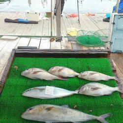 海の釣堀 海恵 釣果