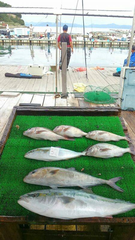 海の釣堀 海恵 釣果