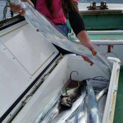 金沢八景鴨下丸 釣果