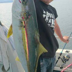 ARCADIAⅡ (アルカディアⅡ) 釣果