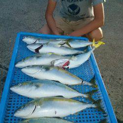 第三共栄丸 釣果