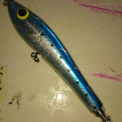 第三共栄丸 釣果