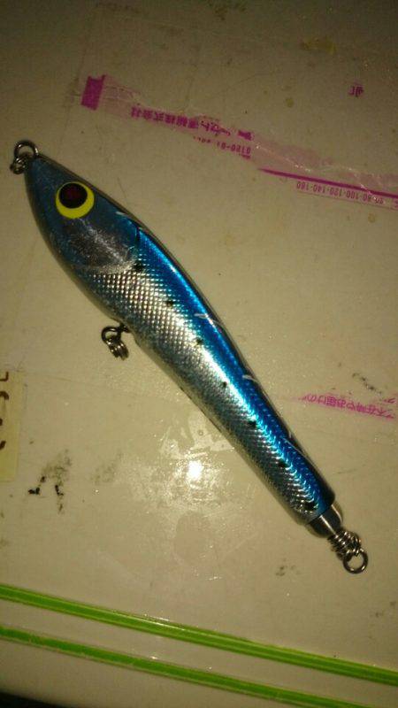 第三共栄丸 釣果