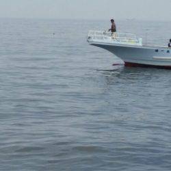 金沢八景鴨下丸 釣果