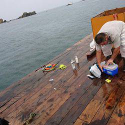 あみや渡船 釣果