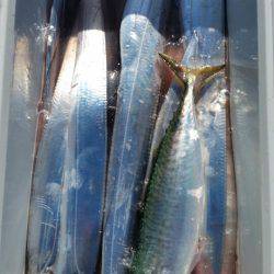 金沢八景鴨下丸 釣果