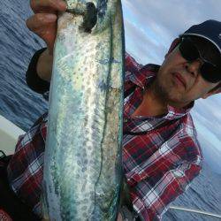 サンマリン 釣果