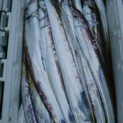 サンマリン 釣果