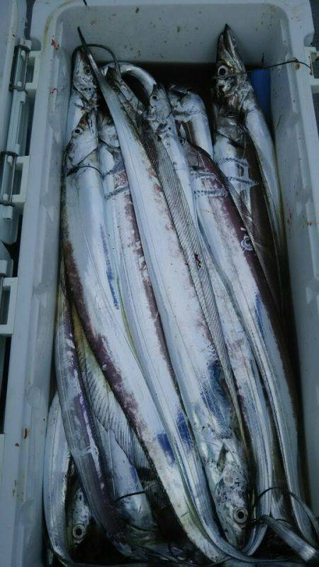 サンマリン 釣果