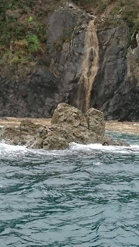 あみや渡船 釣果