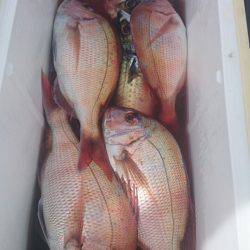 第三共栄丸 釣果