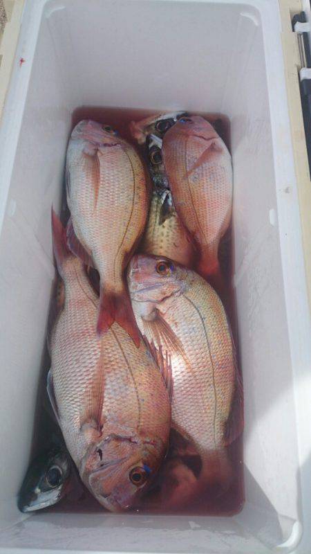 第三共栄丸 釣果