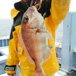新幸丸 釣果