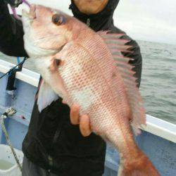 新幸丸 釣果