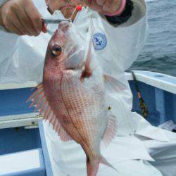 新幸丸 釣果