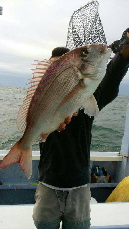 新幸丸 釣果