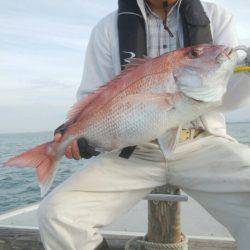 海季丸（みきまる） 釣果