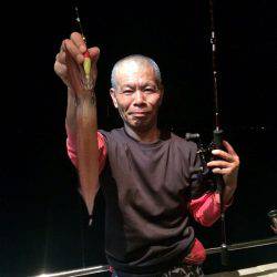 South Current 釣果