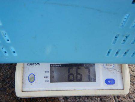 LUSTER『ラスター』 釣果