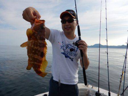 LUSTER『ラスター』 釣果