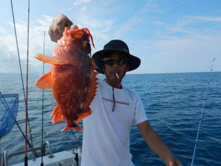 LUSTER『ラスター』 釣果