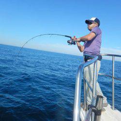 LUSTER『ラスター』 釣果