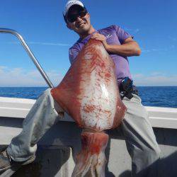 LUSTER『ラスター』 釣果